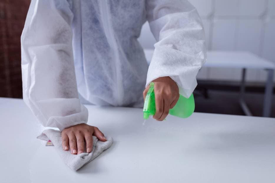 Consejos para prevenir plagas en tu empresa