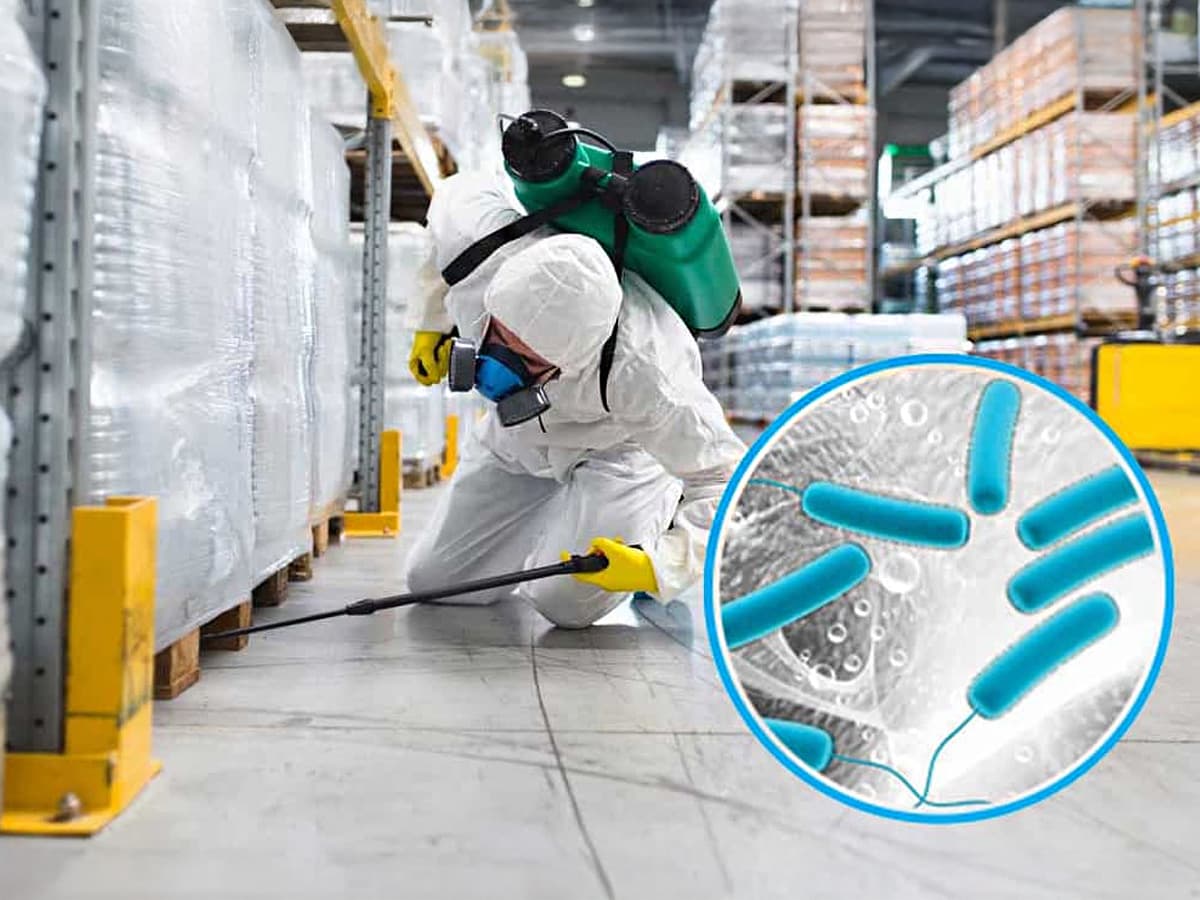 La Limpieza como Prevención de Enfermedades: El Rol de los Desinfectantes